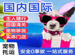 榆林榆阳机场快递国际宠物托运 【国